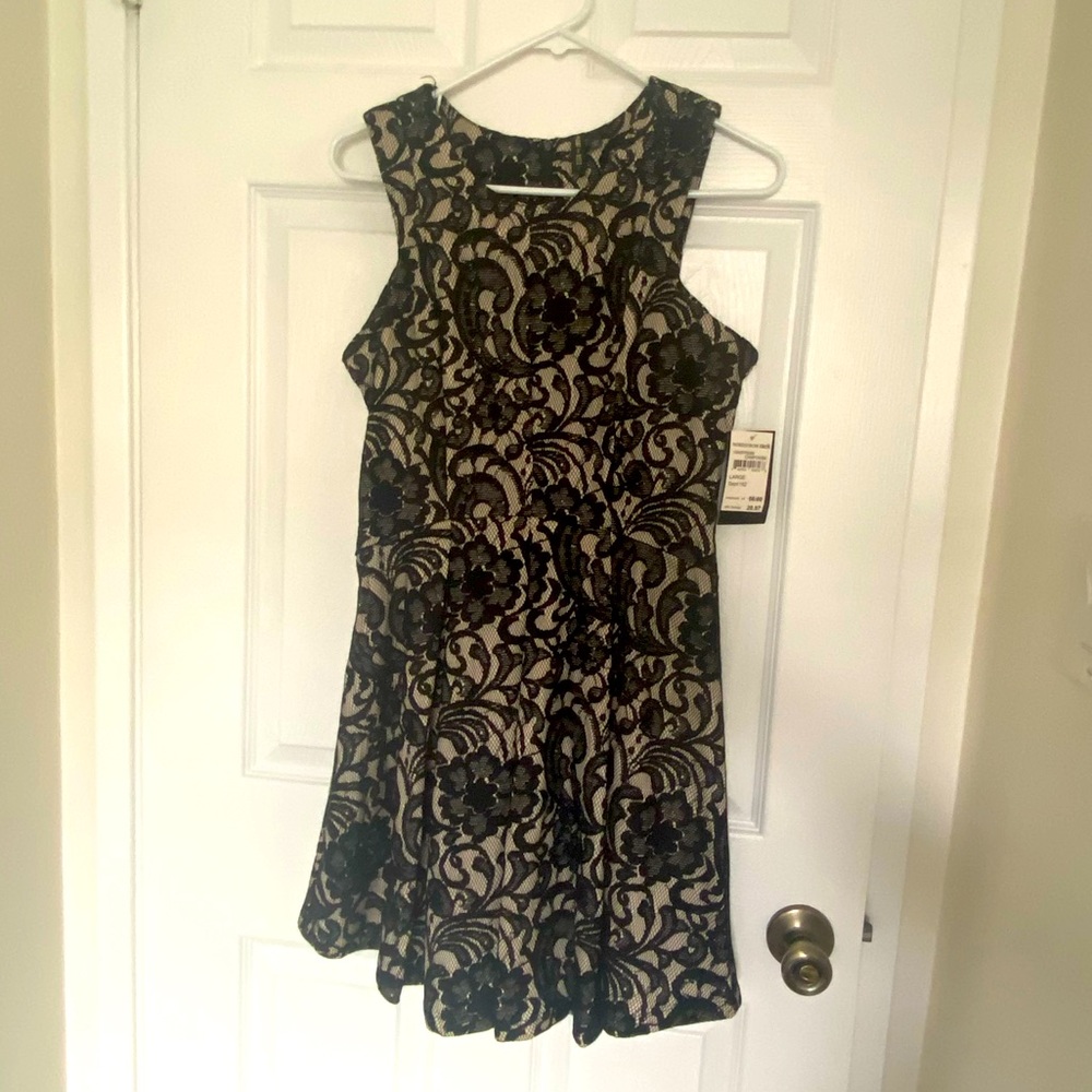 Want and Need - Lace Little Black Mini Dress